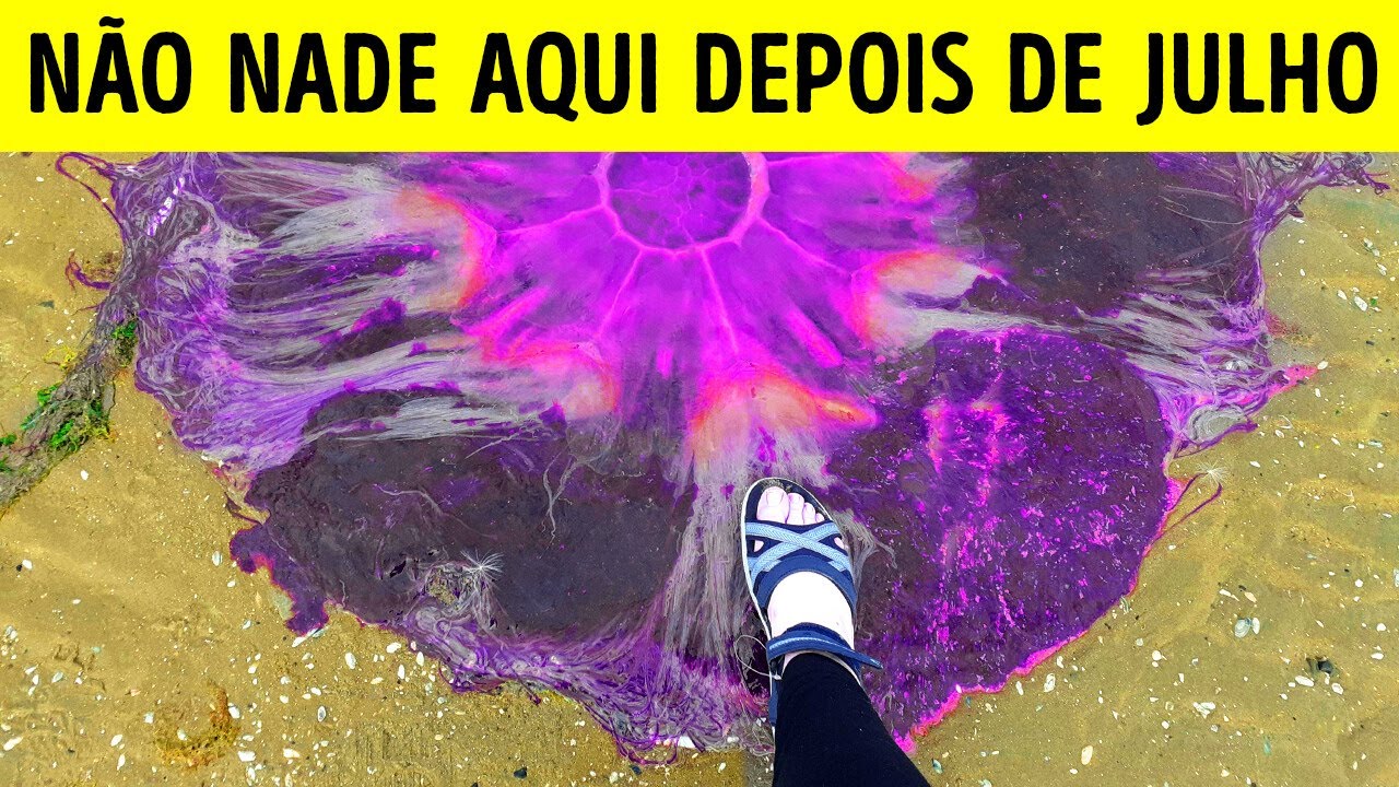 46 Vezes Em Que As Pessoas Encontraram Algo Extremamente Grande