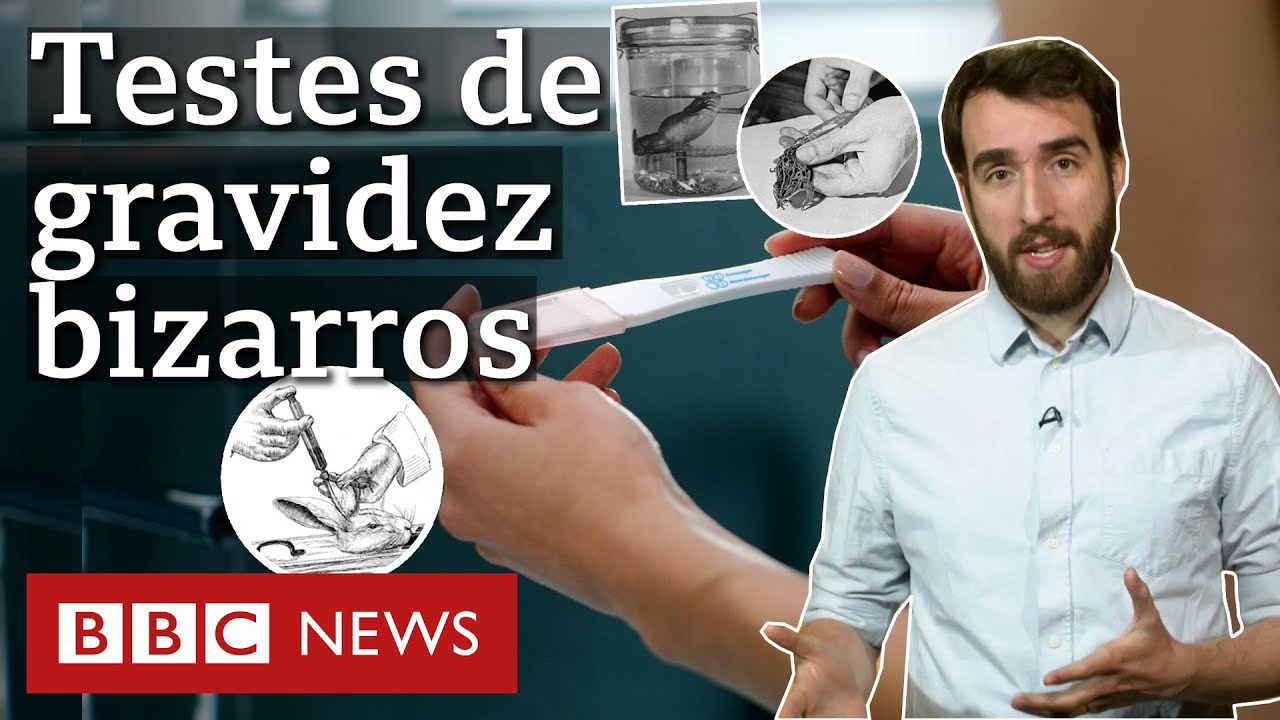 A história dos testes de gravidez bizarros (mas que funcionavam)
