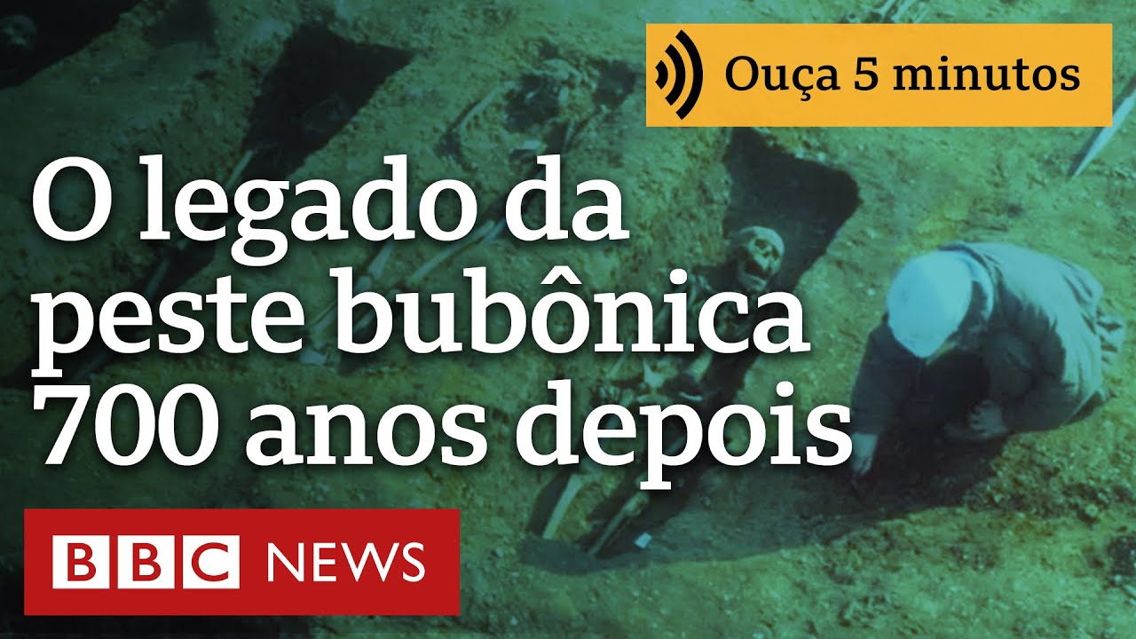 Como a peste bubônica de 700 anos atrás ainda afeta nossa saúde hoje em dia