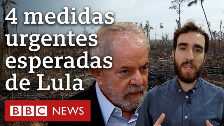Amazônia: o que Lula deveria fazer contra alta na destruição