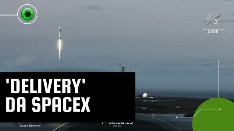 Nave da SpaceX leva sementes e outros itens para a Estação Espacial Internacional