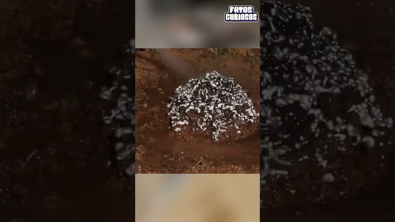A ESTRANHA ARTE DE FORMIGUEIROS ABANDONADOS 🤨🐜 #viral #shorts #comedia #comedy #short #video #tiktok