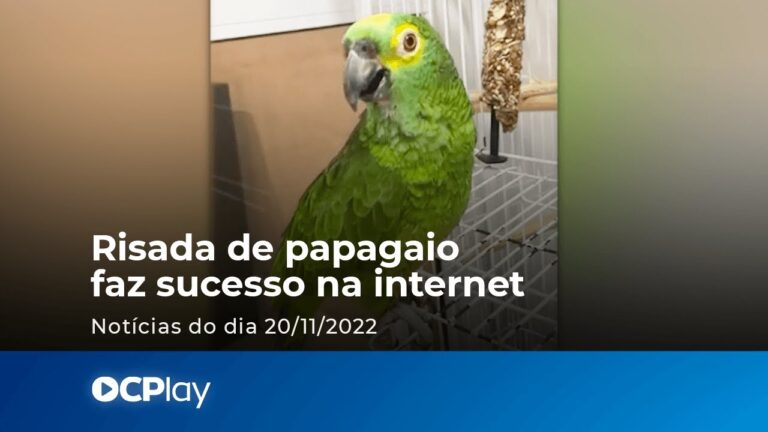 Risada de papagaio faz sucesso na internet