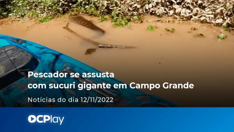 Vídeo: Pescador se assusta com sucuri gigante em rio de Campo Grande