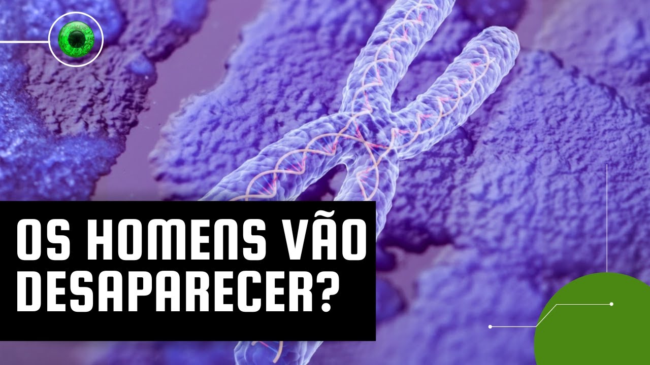 Masculino, sexo em extinção?