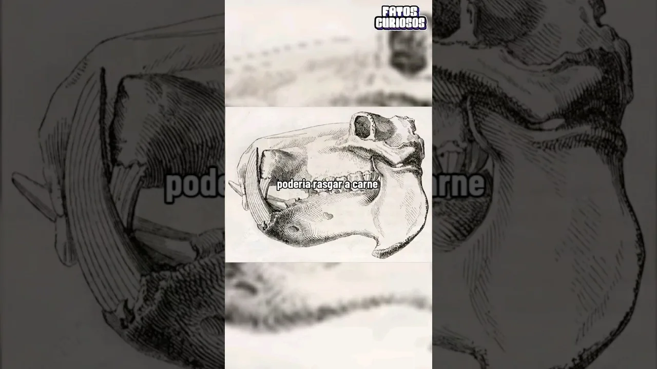 ASSIM SERIA ESSE ANIMAL SE NOS BASEASEMOS EM SUA ESTRUTURA OSSEA ☠🦴 #short #shorts #viral #comedy