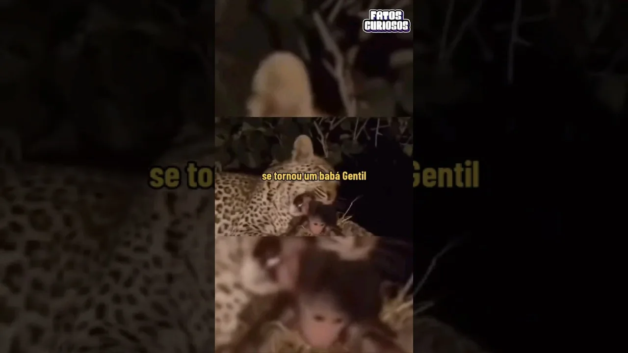 INCRÍVEL, ANIMAIS AJUDANDO A OUTROS ANIMAIS #short #shorts #comedy #comedia #tiktok #video #viral