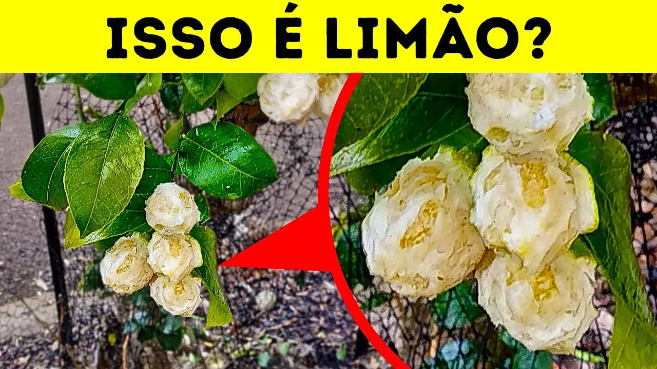15 Imagens Impressionantes que Mostram por que Cada País É Único