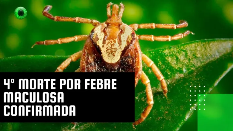 4ª morte por febre maculosa confirmada