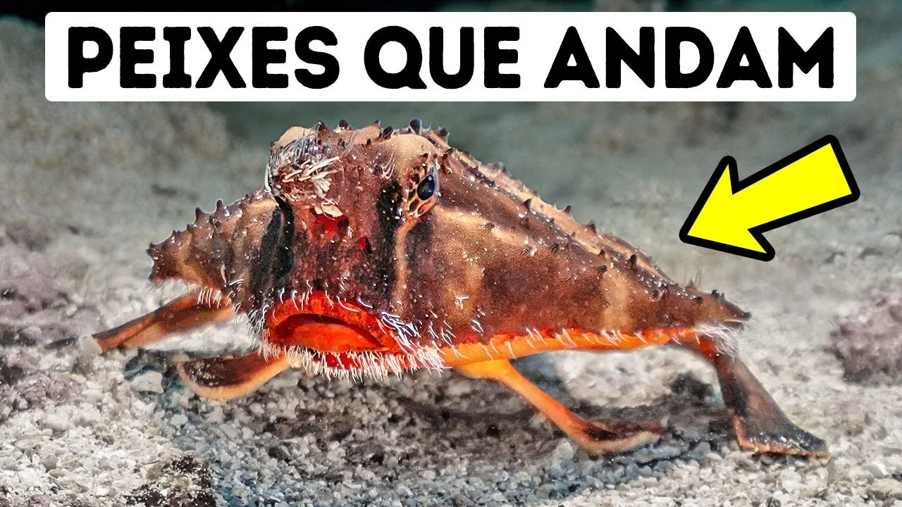 8 Criaturas das profundezas: De Sinistras a Surreais