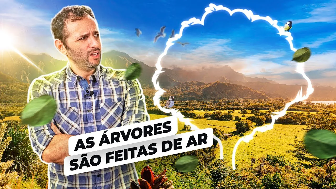 As ÁRVORES são FEITAS de AR! #Descarbonização Ep. 1