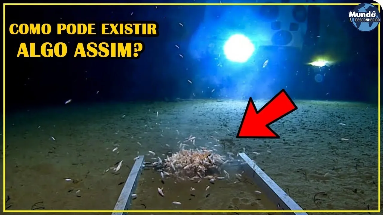 Cientistas acabam de descobrir criaturas INCRÍVEIS NUNCA VISTAS no fundo do oceano