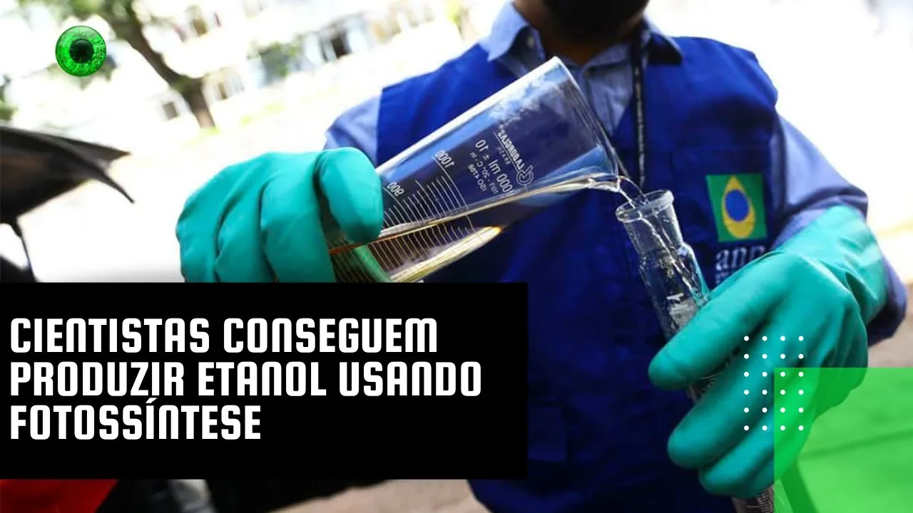 Cientistas conseguem produzir etanol usando fotossíntese