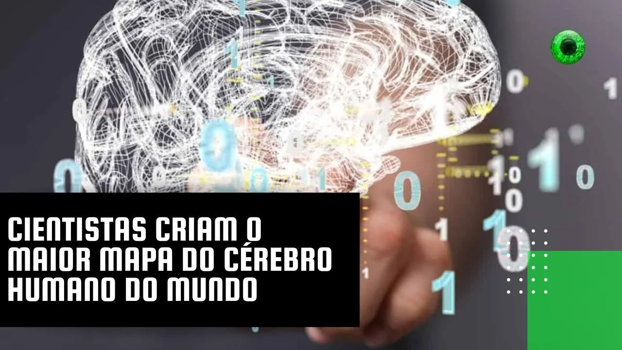 Cientistas criam o maior mapa do cérebro humano do mundo