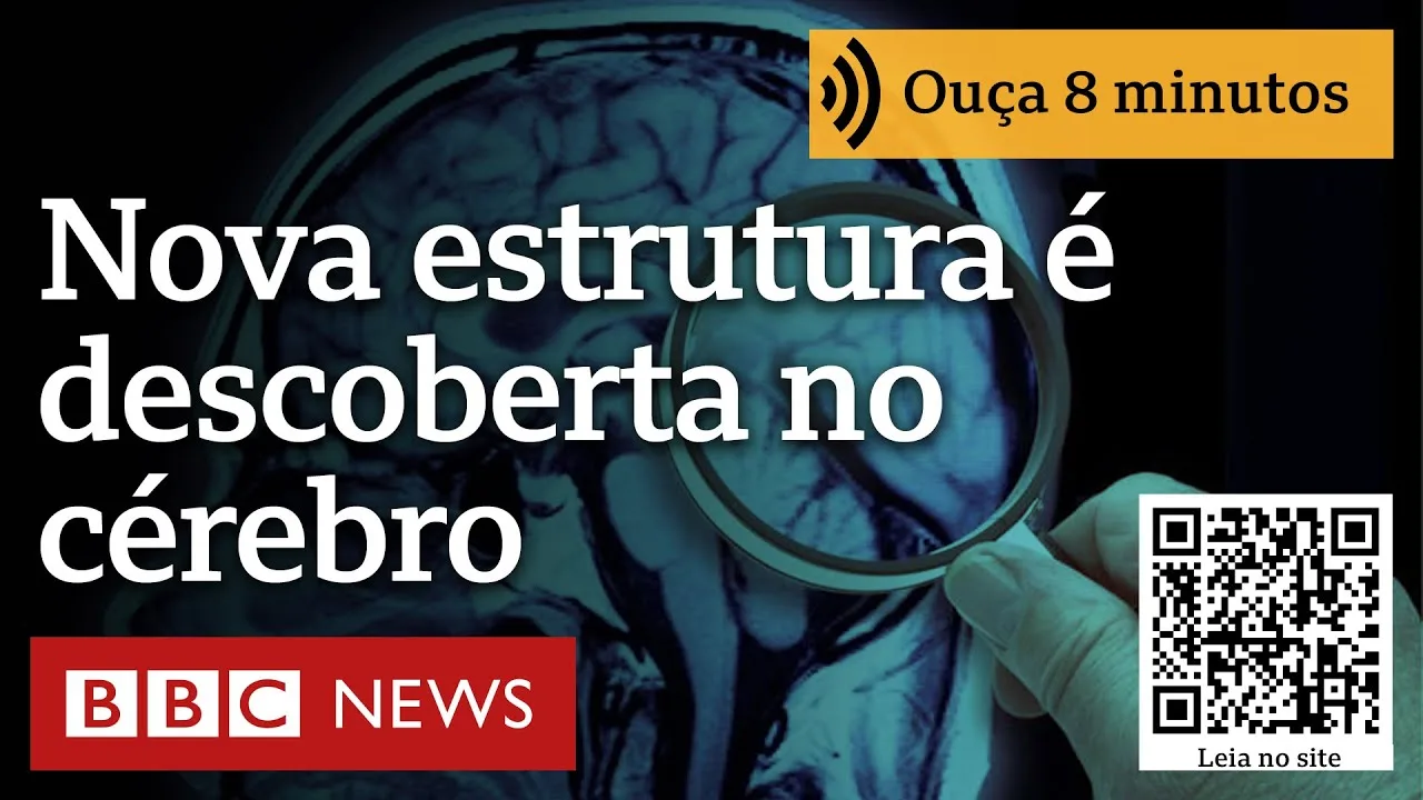 Cientistas descobrem uma nova estrutura no cérebro humano