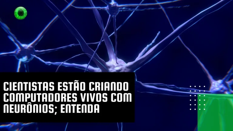 Cientistas estão criando computadores vivos com neurônios; entenda