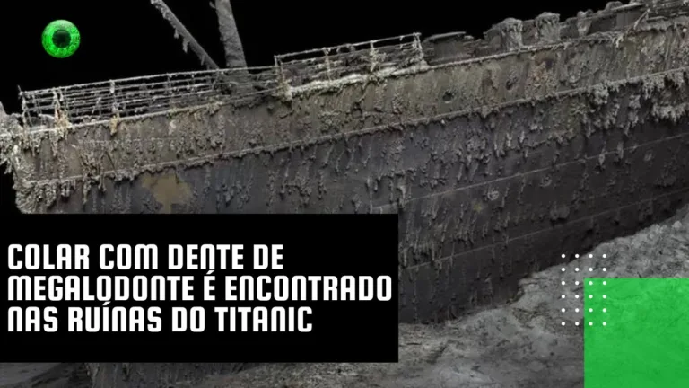 Colar com dente de megalodonte é encontrado nas ruínas do Titanic