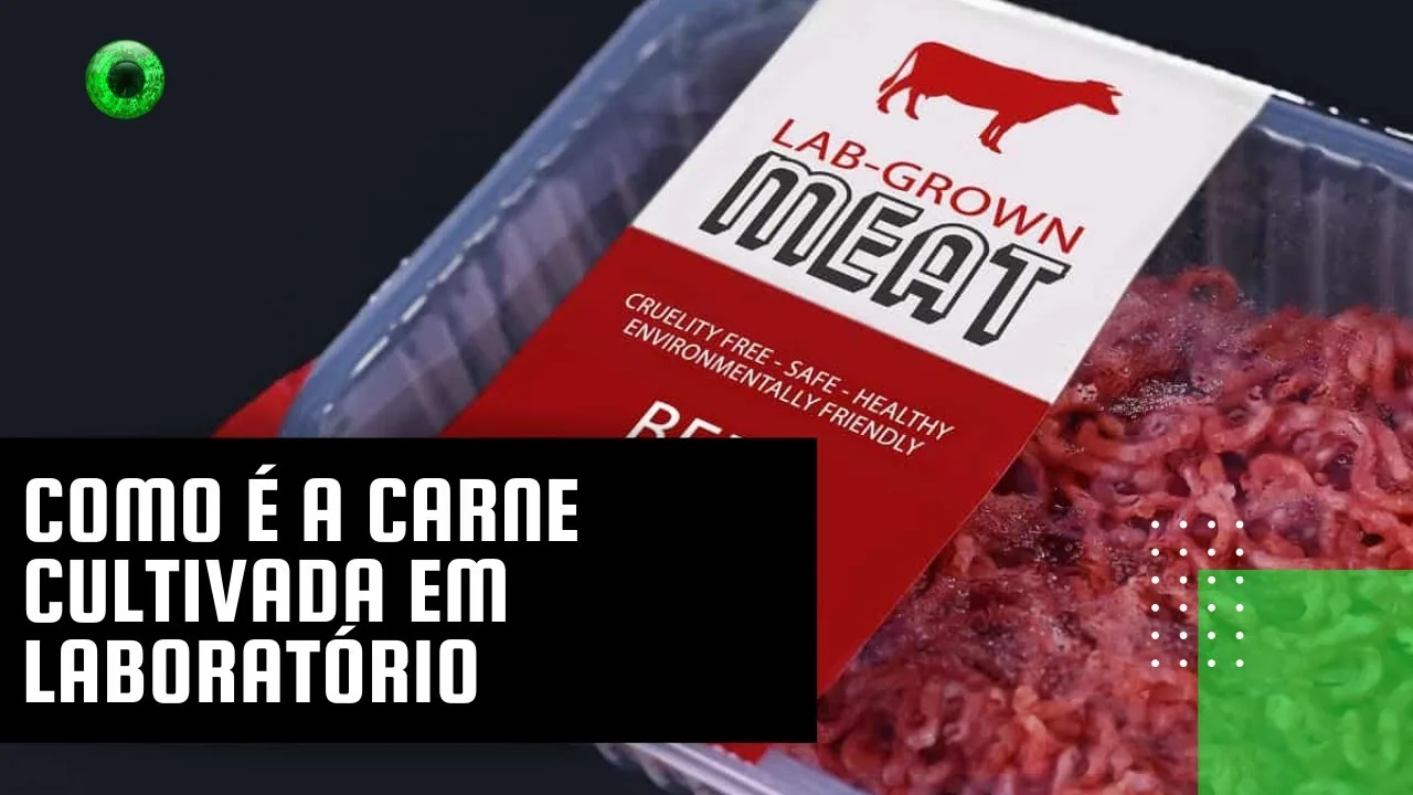 Como é a carne cultivada em laboratório