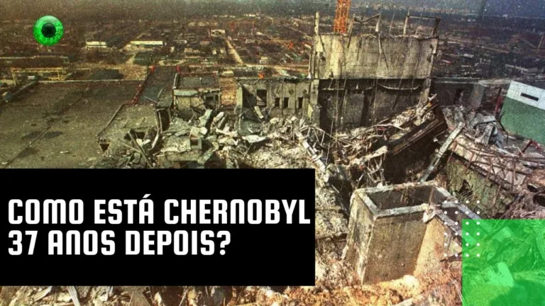 Como está Chernobyl 37 anos depois?