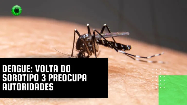 Dengue: volta do sorotipo 3 preocupa autoridades