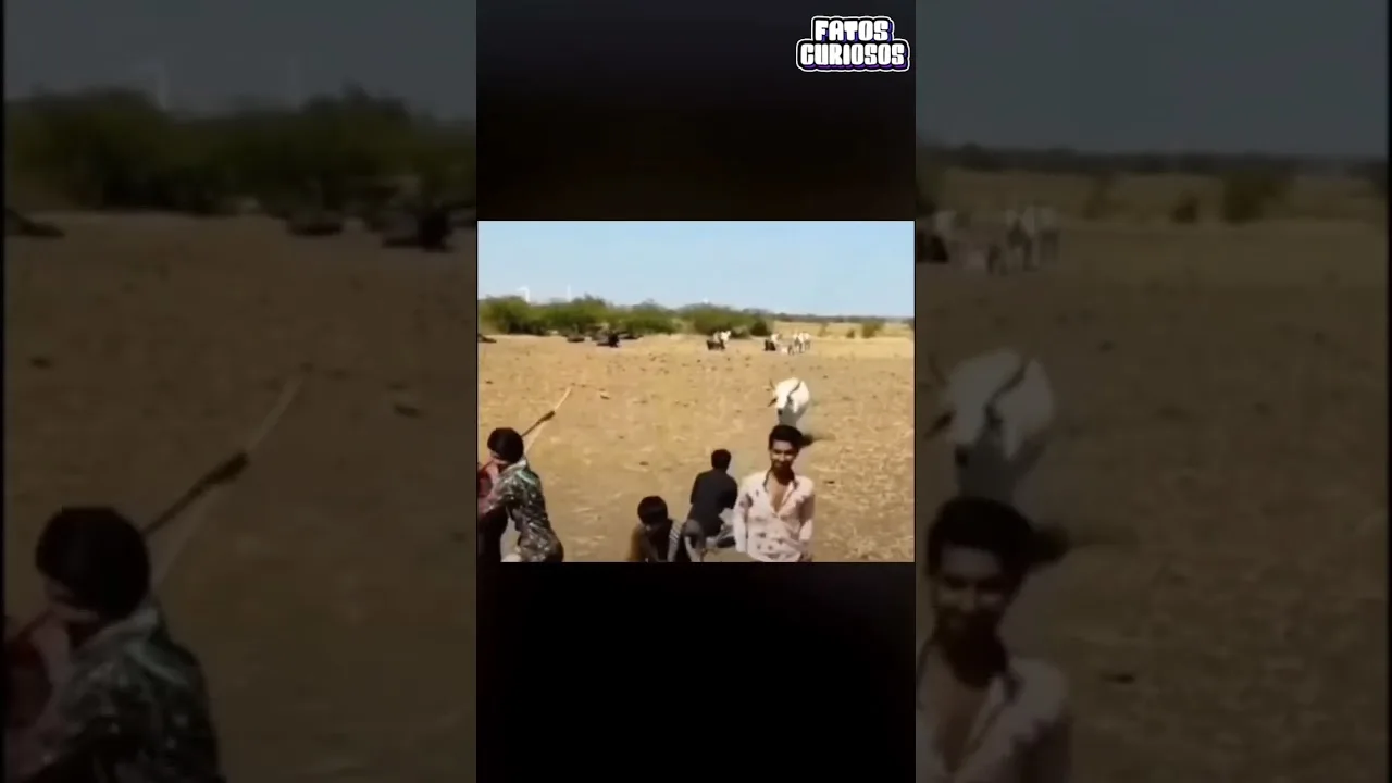 ANIMAIS SALVANDO A VIDA DE SEUS DONOS #shorts #viral #comedia #comedy #tiktok #short #video