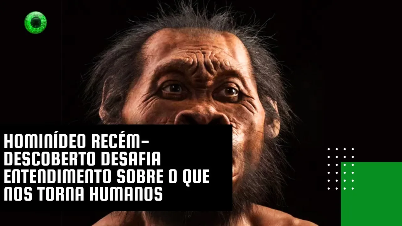 Hominídeo recém-descoberto desafia entendimento sobre o que nos torna humanos