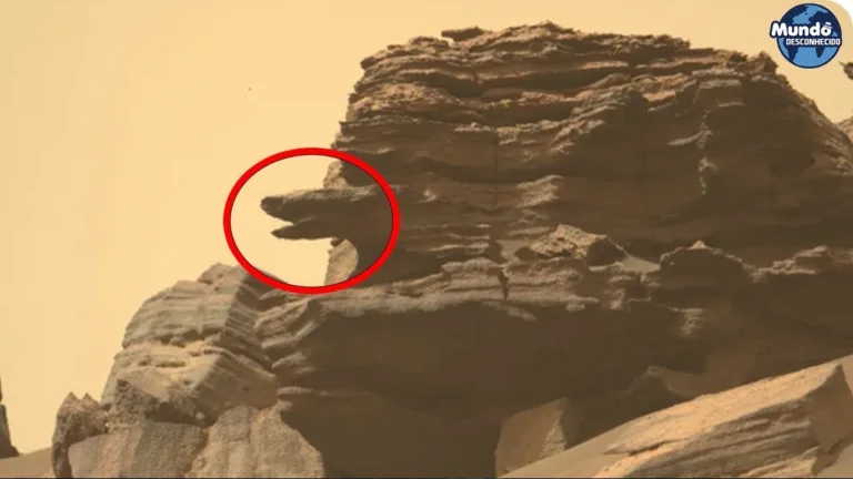Perseverance Rover enviou as últimas imagens chocantes da vida marciana