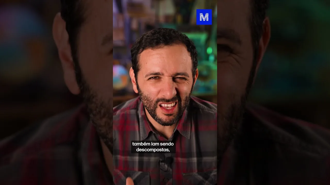 FÓSSIL de DINOSSAURO NÃO É OSSO!