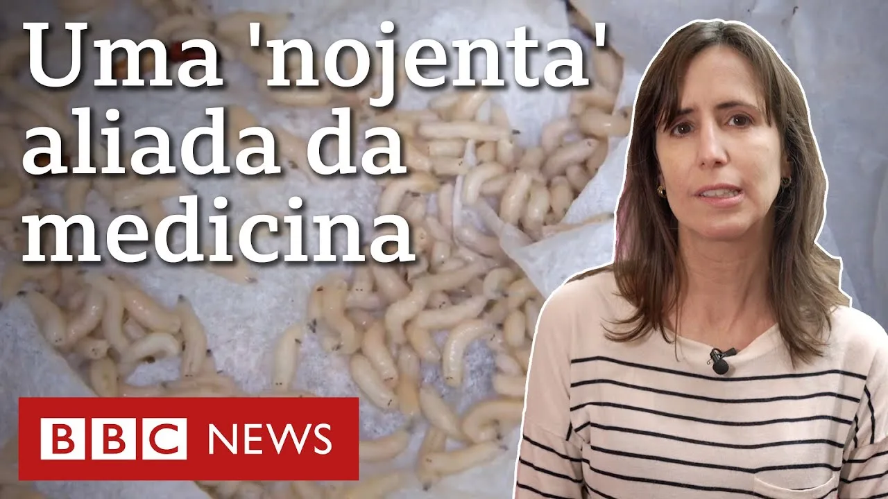 A técnica 'primitiva' de curar feridas que virou arma contra esgotamento de antibióticos