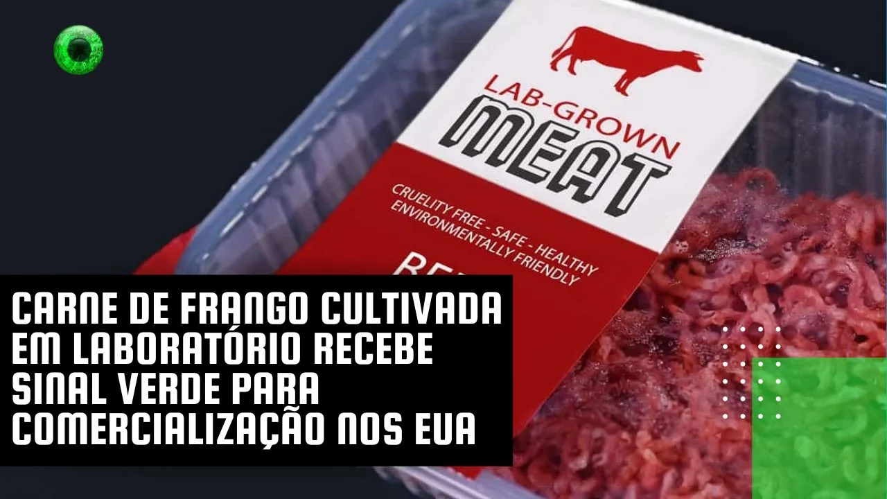 Carne de frango cultivada em laboratório recebe sinal verde para comercialização nos EUA