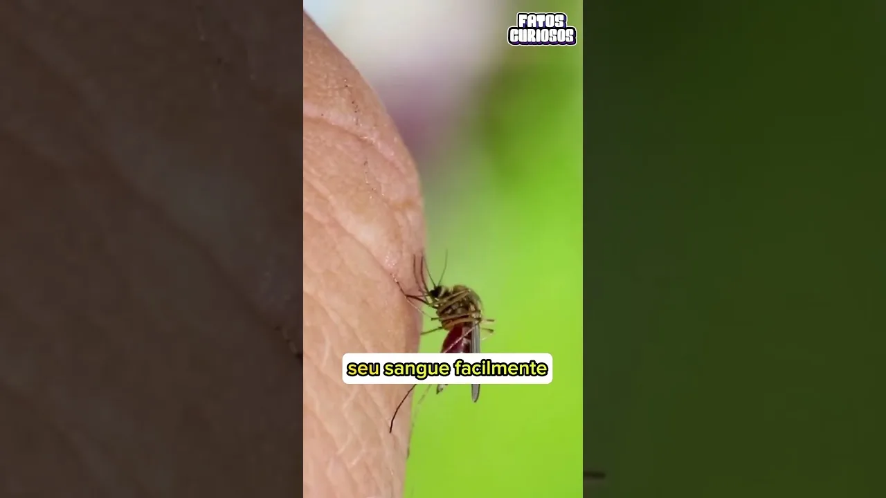 Isso é o que  ACONTECE quando um MOSQUITO te PICA 🦟#short #shorts #viral #curiosidades #comedia