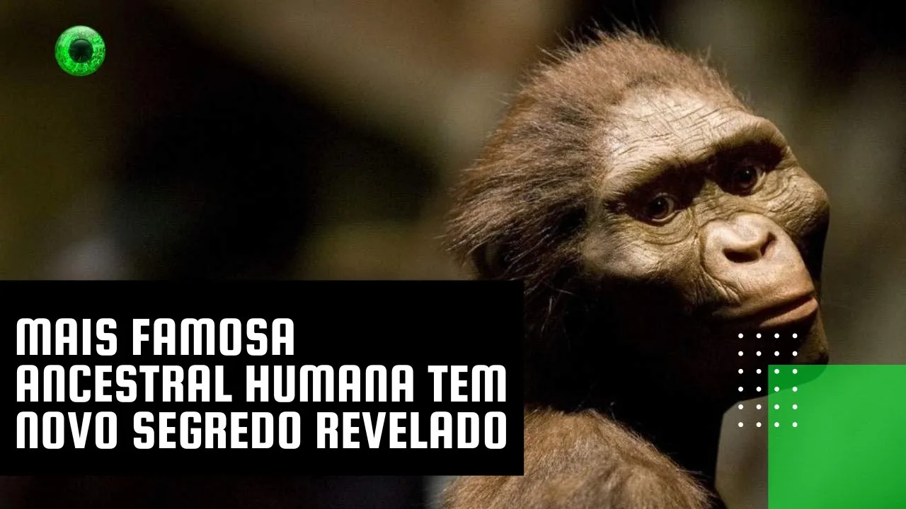 Mais famosa ancestral humana tem novo segredo revelado