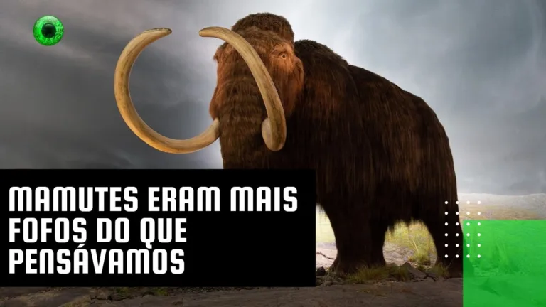 Mamutes eram mais fofos do que pensávamos