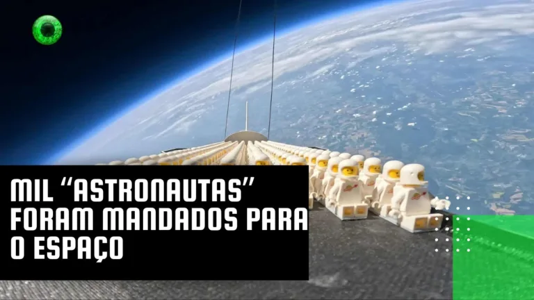 Mil “astronautas” foram mandados para o espaço