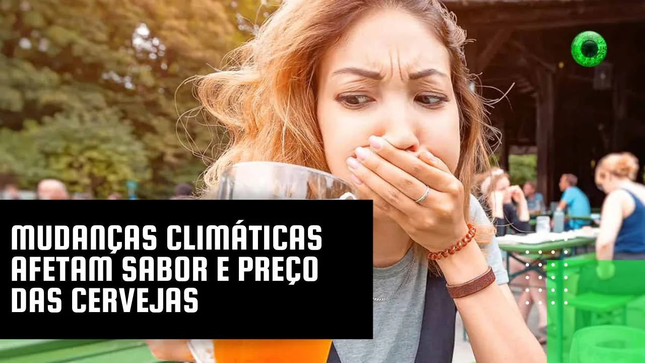 Mudanças climáticas afetam sabor e preço das cervejas