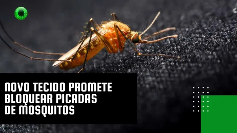 Novo tecido promete bloquear picadas de mosquitos