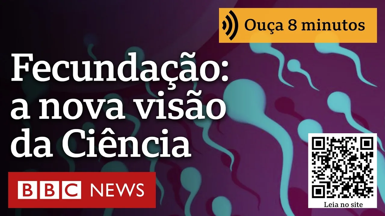 Como ocorre a fecundação? A nova visão da Ciência sobre a corrida dos espermatozoides ao óvulo