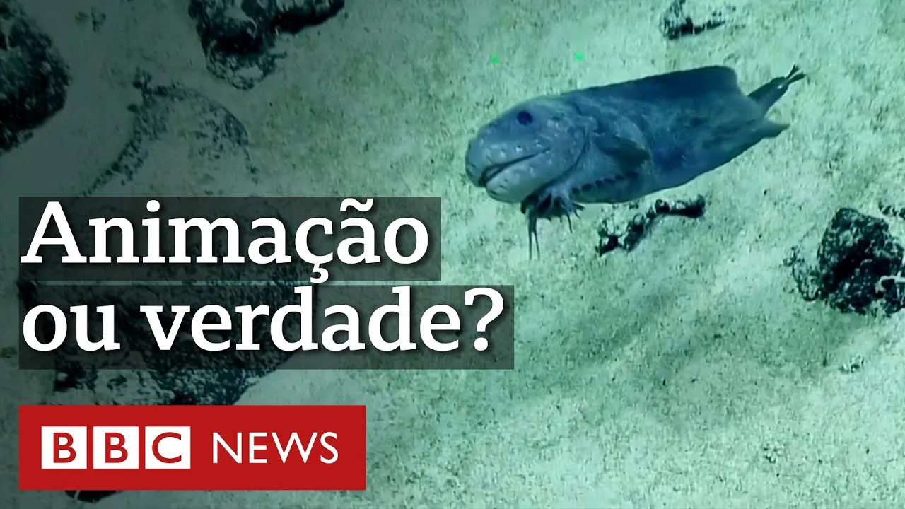 O peixe 'sorridente' que parece saído de filme de animação