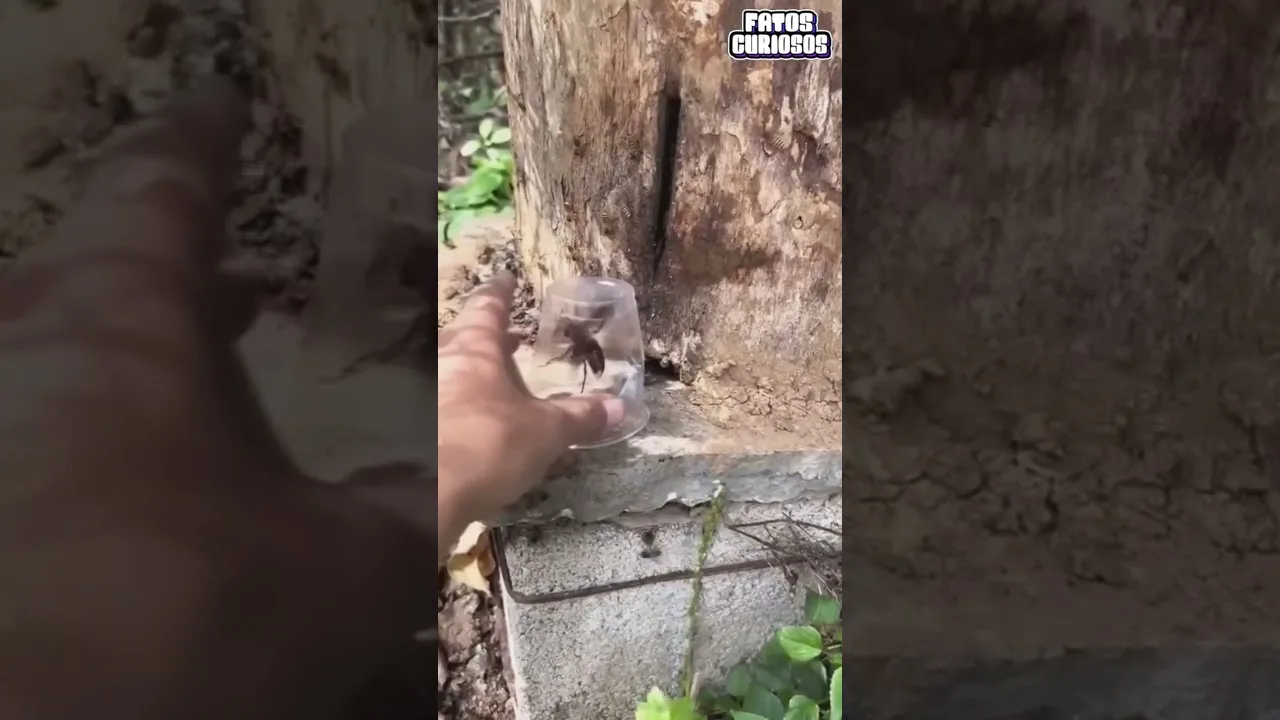 ELE GRAVOU O PIOR ERRO DE SUA VIDA #short #shorts #comedia #comedy #tiktok #video #viral