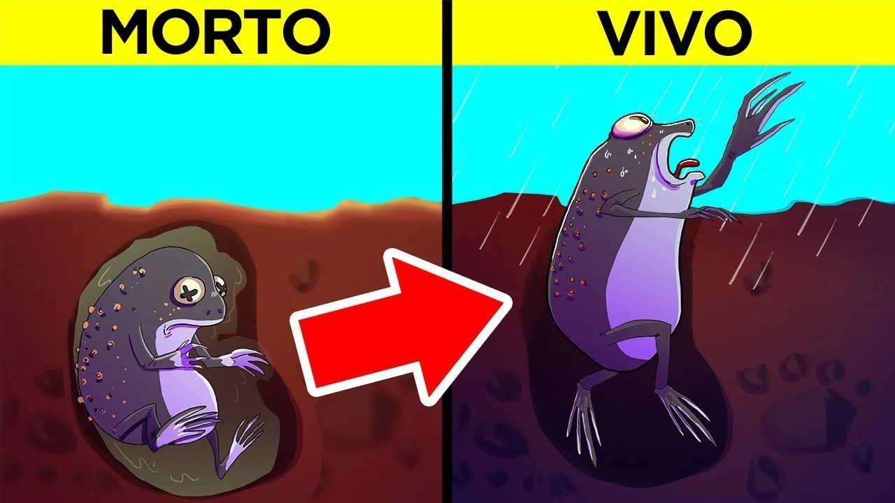 Os Animais Mais Incríveis do Mundo