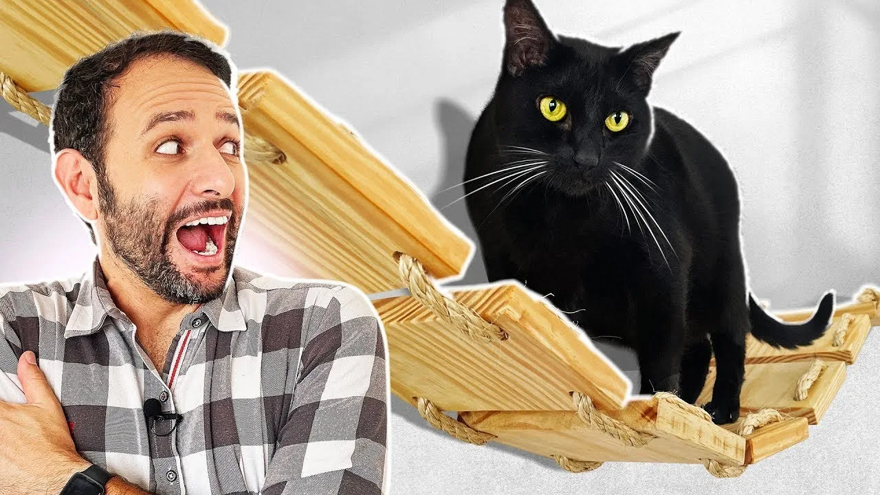 PARQUE de DIVERSÃO pra GATOS: Faça em casa!