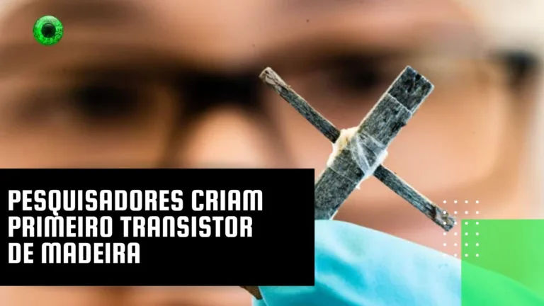 Pesquisadores criam primeiro transistor de madeira