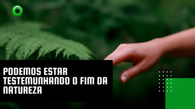 Podemos estar testemunhando o fim da natureza