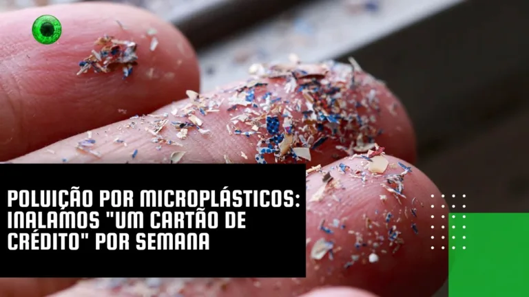 Poluição por microplásticos: inalamos “um cartão de crédito” por semana