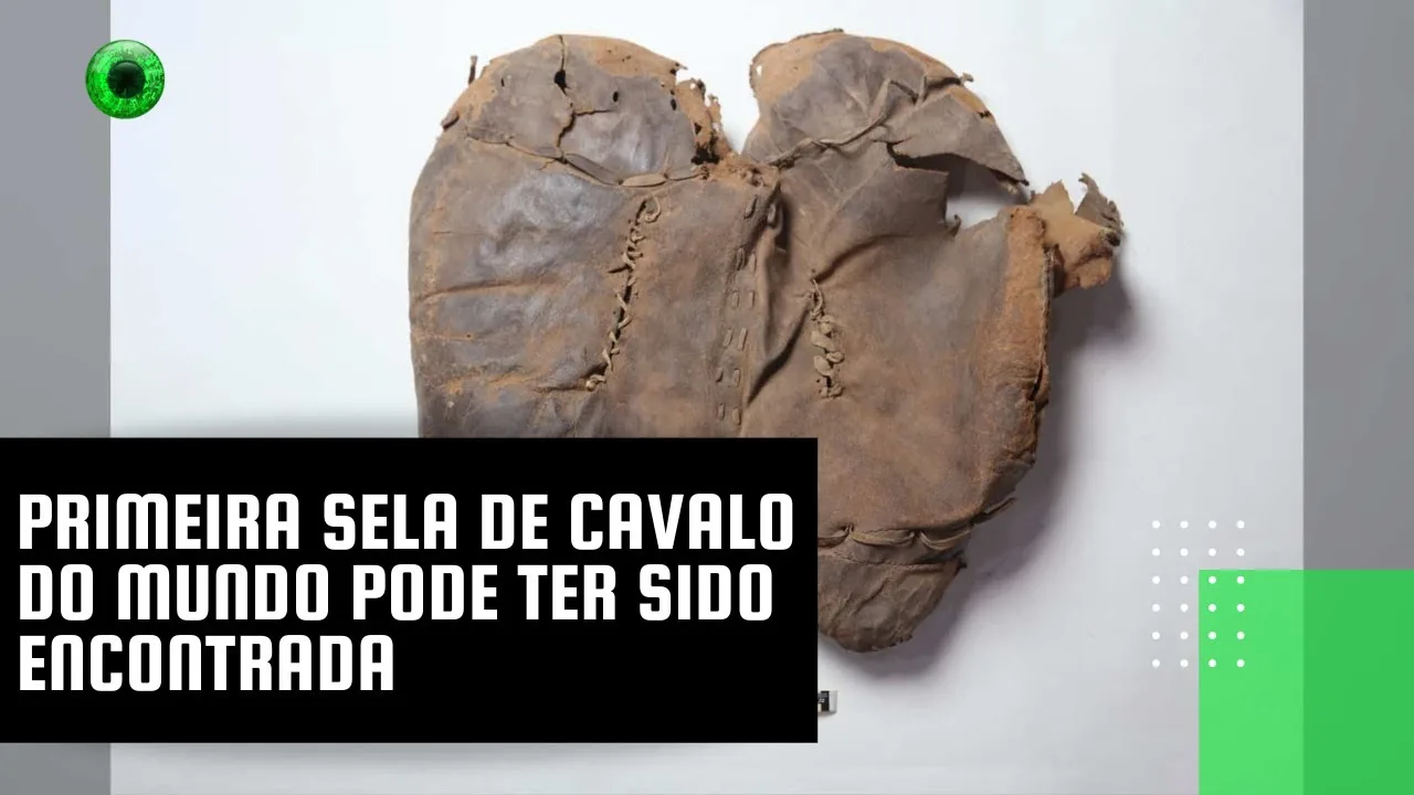 Primeira sela de cavalo do mundo pode ter sido encontrada