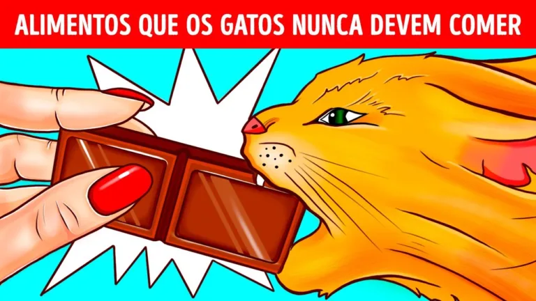 Por que os animais de estimação não podem comer chocolate e outros segredos dos animais