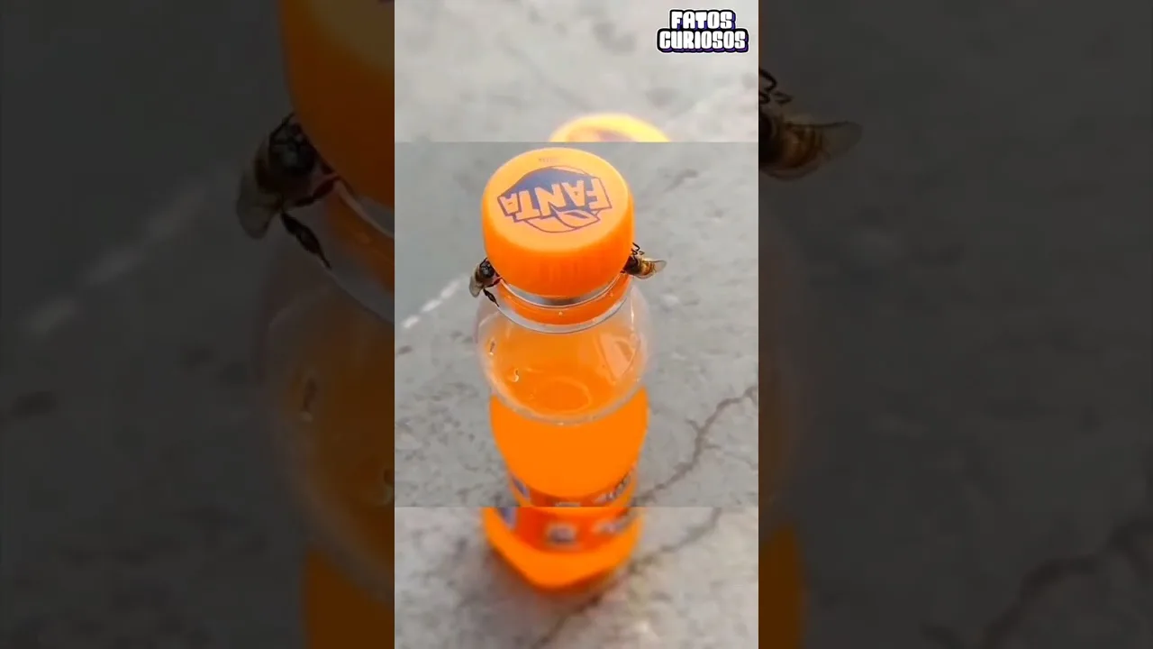 ANIMAIS QUE SÃO MAIS INTELIGENTES DO QUE VOCÊ IMAGINAVA  #comedia #comedy #tiktok #video #viral