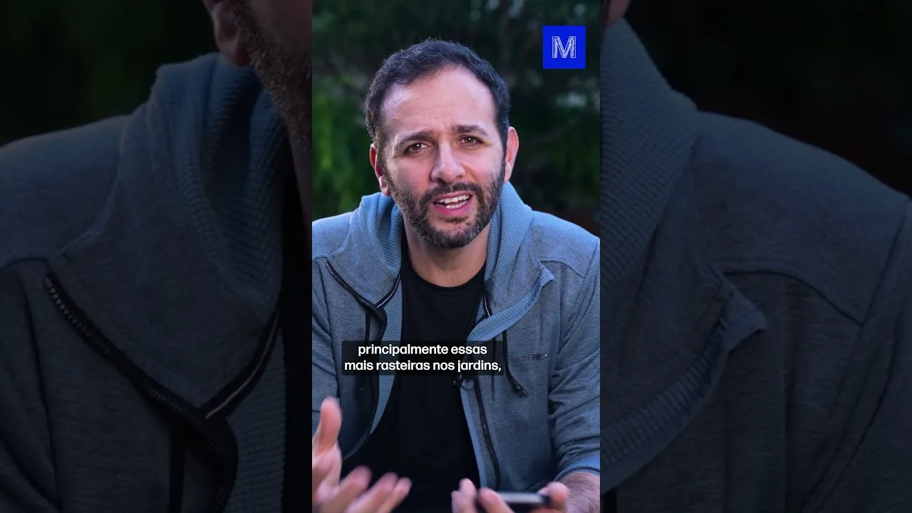 Se BANANA não tem semente, como se REPRODUZ?