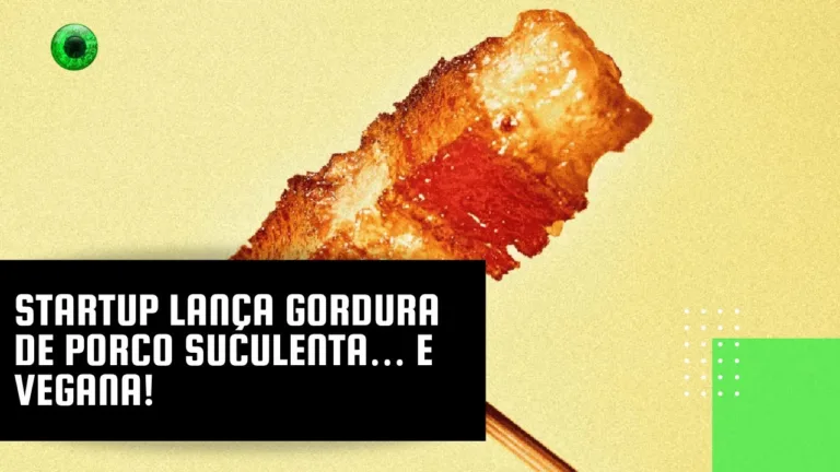 Startup lança gordura de porco suculenta… e vegana!