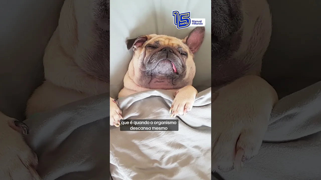 Temos 5 TIPOS de SONO!